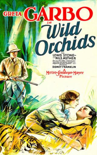 Дикие орхидеи (1929)